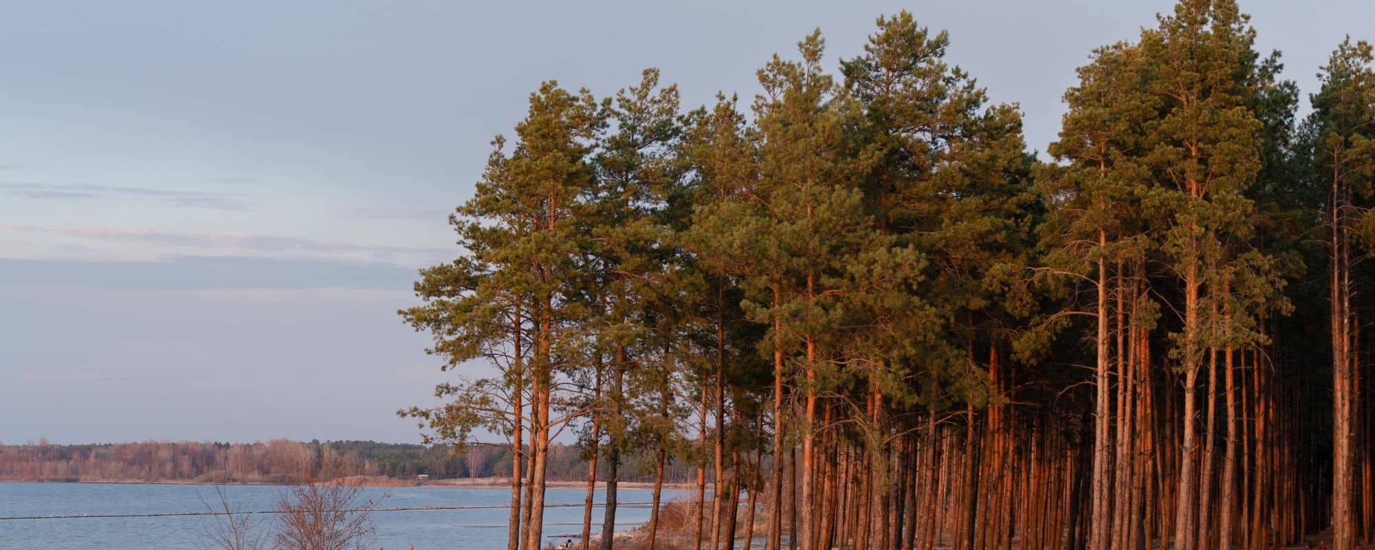 Landes_Couleur_BRUME